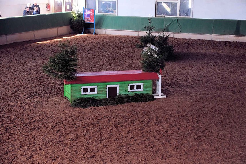 Nordth&uuml;ringer Hallenspringturnier