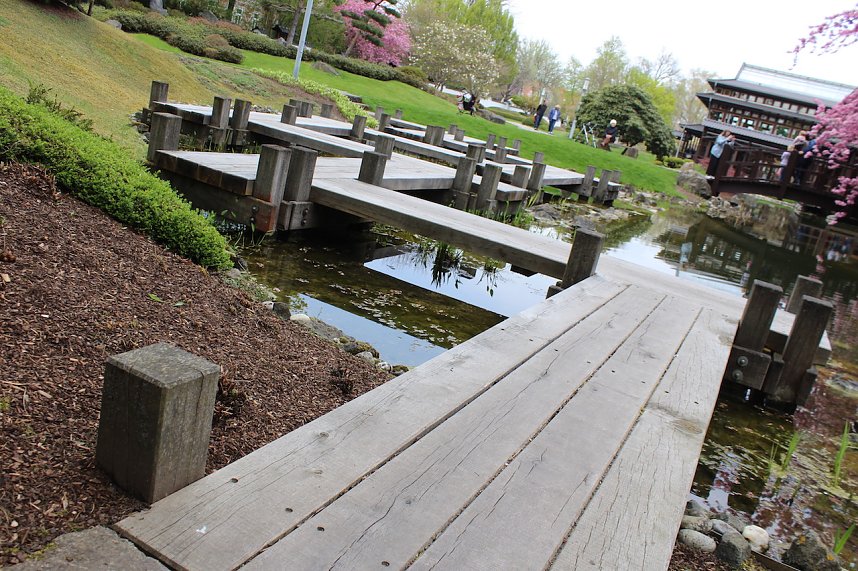 Ein Besuch in der Rosenstadt Bad Langensalza lohnt sich