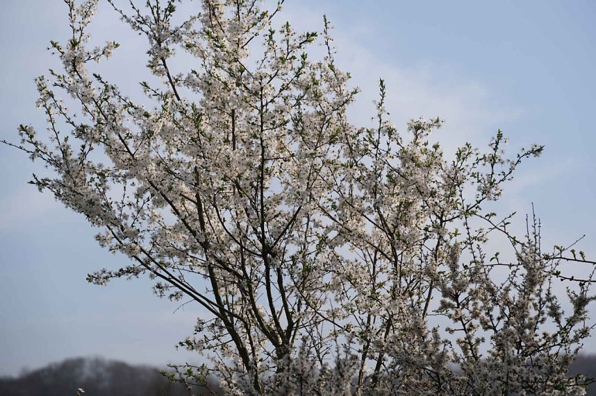 Ostern am Rosenteich