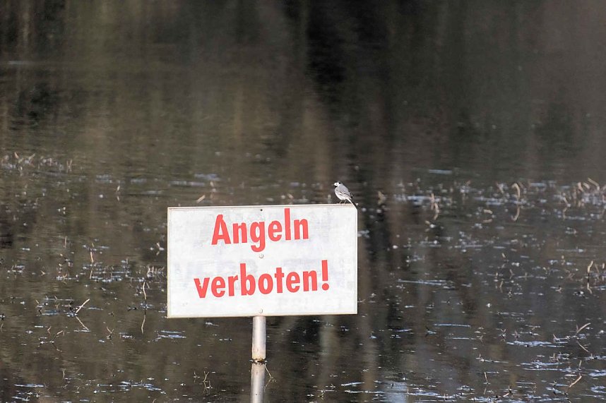 Ostern am Rosenteich