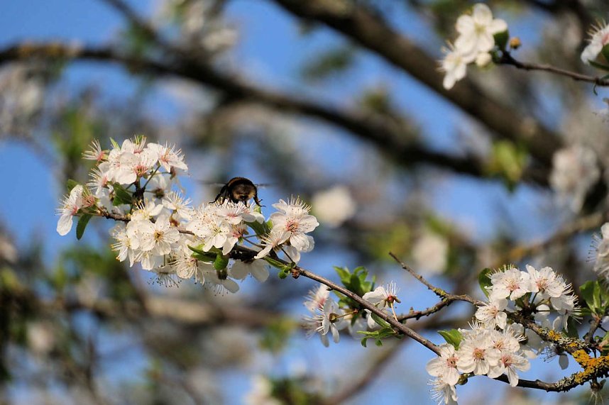 Ostern am Rosenteich