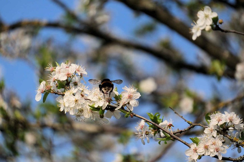 Ostern am Rosenteich
