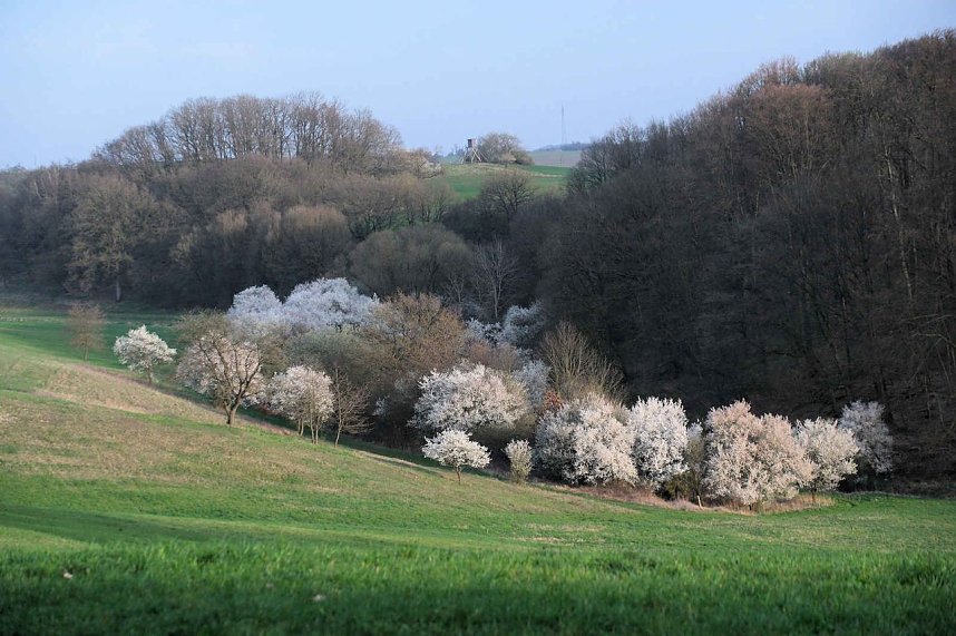 Ostern am Rosenteich