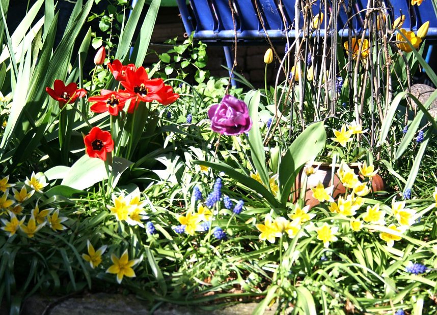 Saisonstart in Auleben