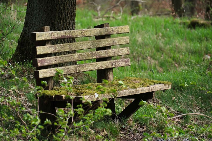 Peter Blei unterwegs bei der S&auml;gem&uuml;hle