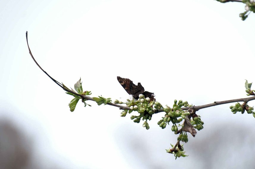Peter Blei unterwegs bei der S&auml;gem&uuml;hle