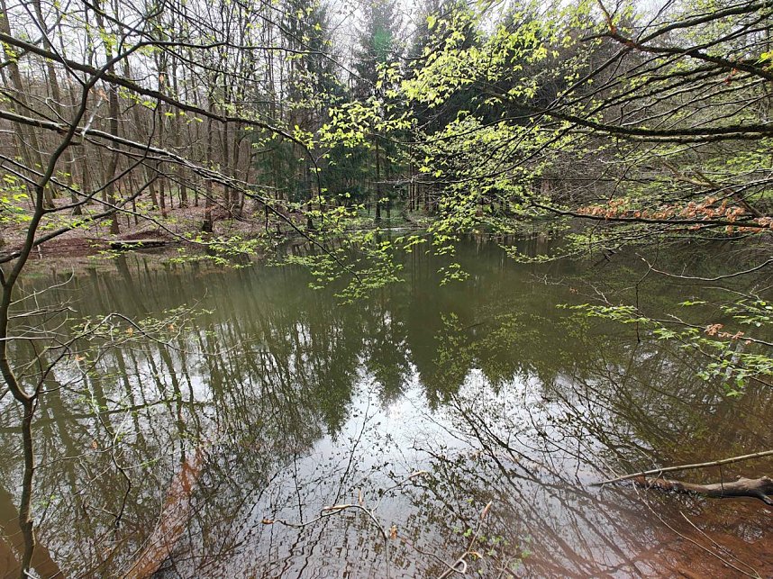 Peter Blei unterwegs bei der S&auml;gem&uuml;hle