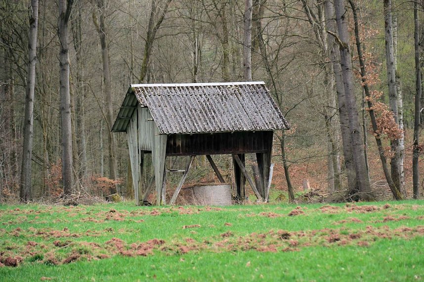 Peter Blei unterwegs bei der S&auml;gem&uuml;hle