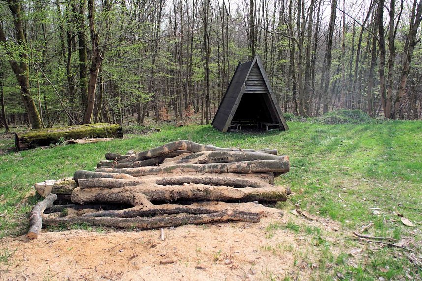 Peter Blei unterwegs bei der S&auml;gem&uuml;hle