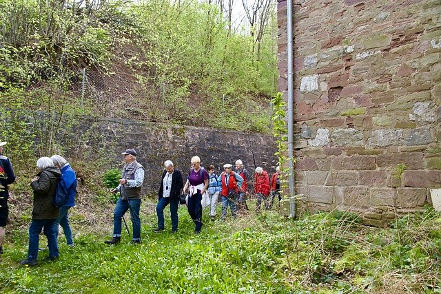 Fr&uuml;hjahrswanderung bei Auleben