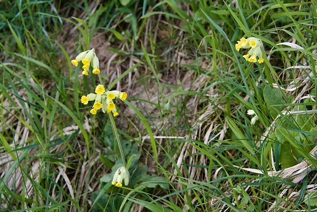 Fr&uuml;hjahrswanderung bei Auleben