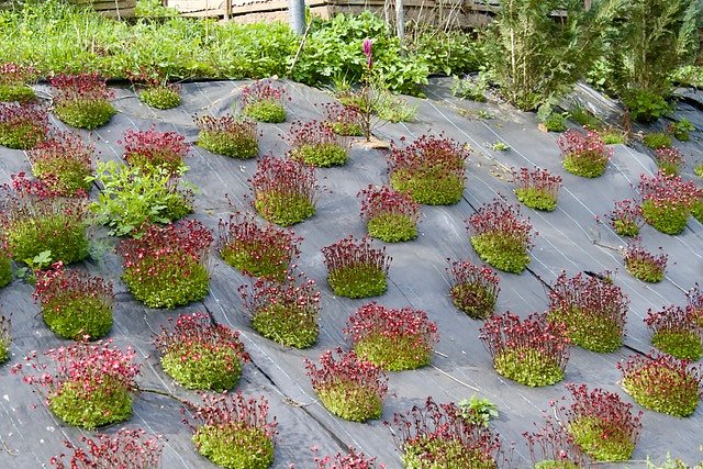 Fr&uuml;hjahrswanderung bei Auleben