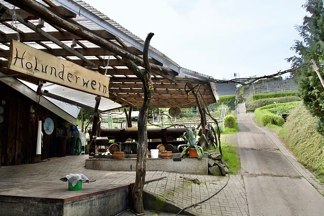 Fr&uuml;hjahrswanderung bei Auleben