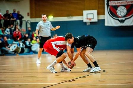Handballergebnisdienst Herren