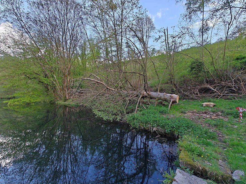 Sturmsch&auml;den,viel Wasser und sehr gute Fernsicht am ehemaligen Wald bei Urbach