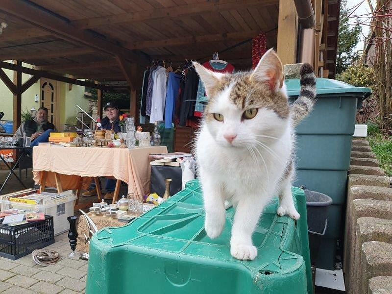 So sch&ouml;n soll es wieder werden - Impressionen vom ersten Dorfflohmarkt in Rodishain