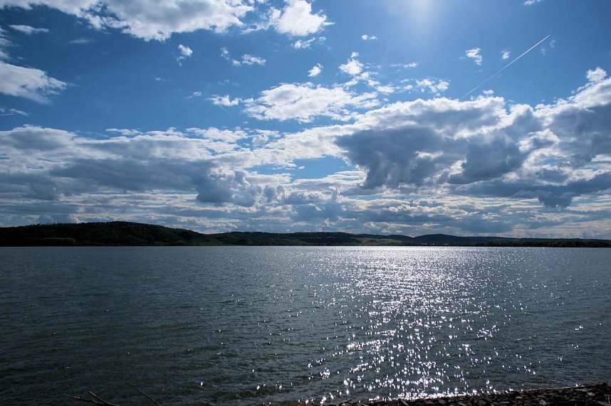 Flora und Fauna am Stausee Kelbra
