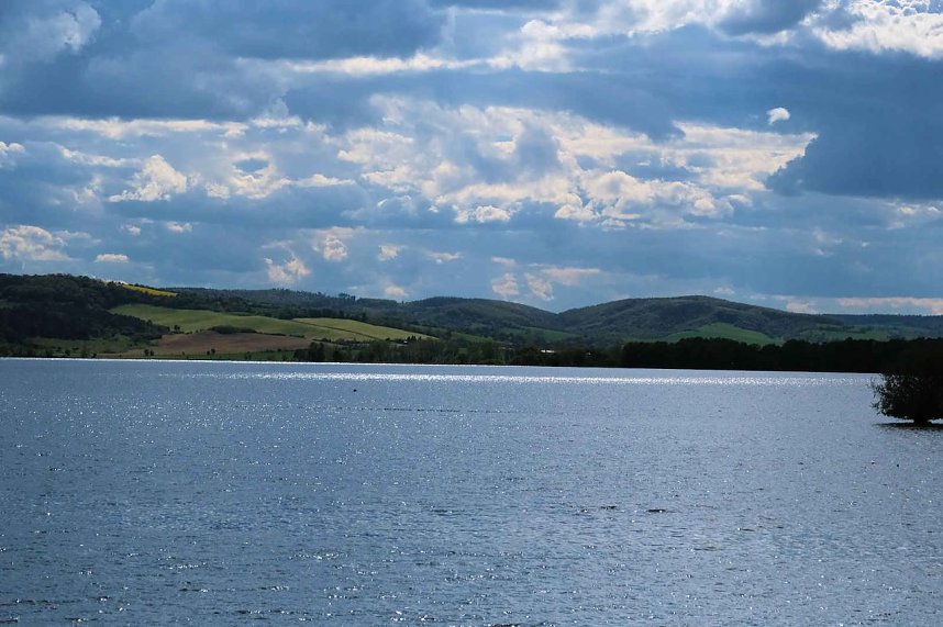 Flora und Fauna am Stausee Kelbra