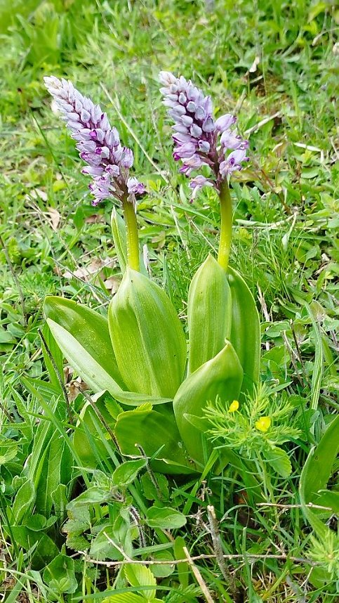 Sch&ouml;nheiten der Natur