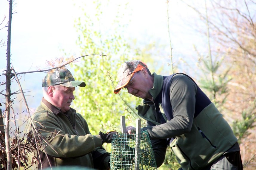 B&auml;ume im Ellricher Stadtwald gepflanzt