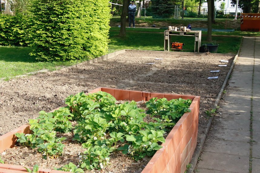 Die Gem&uuml;seackerdemie am F&ouml;rderzentrum Pestalozzi