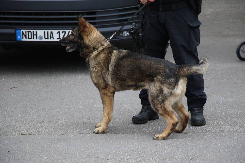 30 Jahre THW auf dem Petersberg