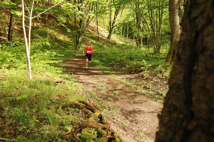 Startschuss f&uuml;r den 10. Harztorlauf