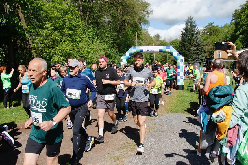 Startschuss f&uuml;r den 10. Harztorlauf