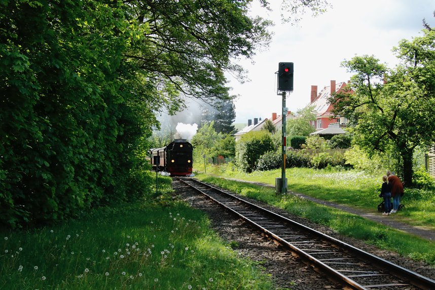 Startschuss f&uuml;r den 10. Harztorlauf
