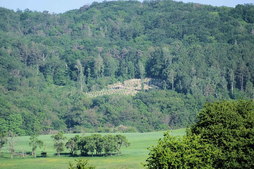 Peter Blei unterwegs oberhalb von Steigerthal