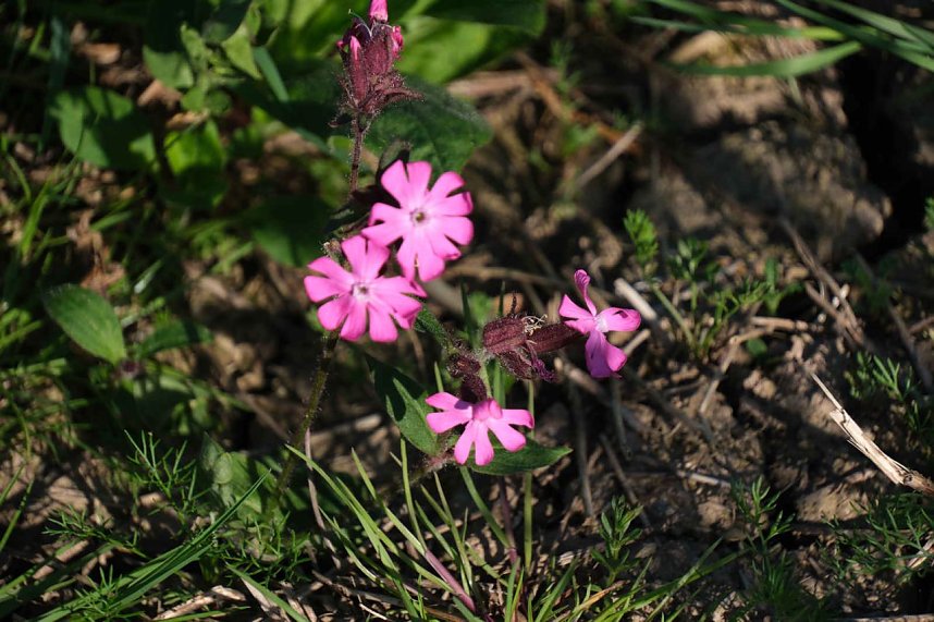 Peter Blei unterwegs oberhalb von Steigerthal