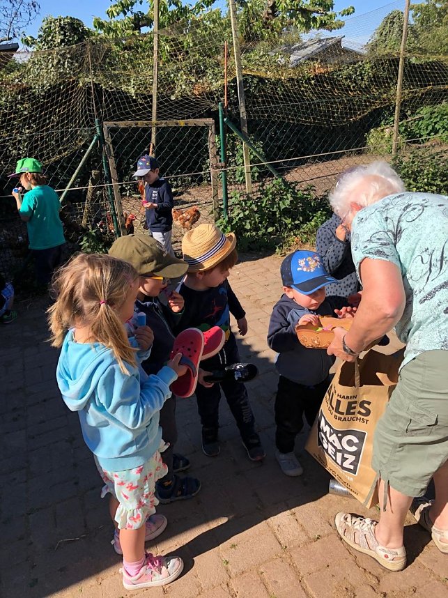 Besuch auf dem Ponyhof