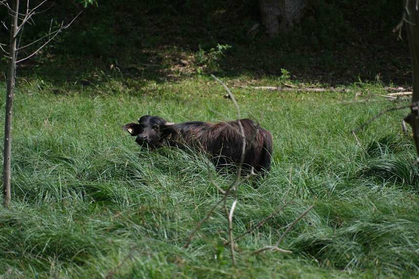Peter Blei unterwegs in der Windl&uuml;cke