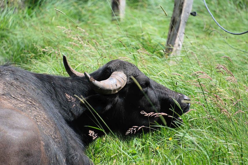 Peter Blei unterwegs in der Windl&uuml;cke
