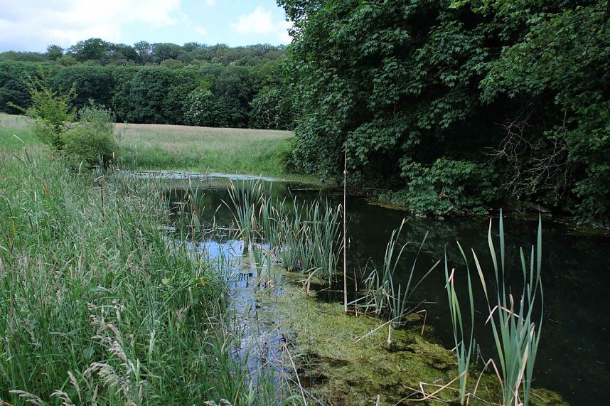 Peter Blei unterwegs in der Windl&uuml;cke