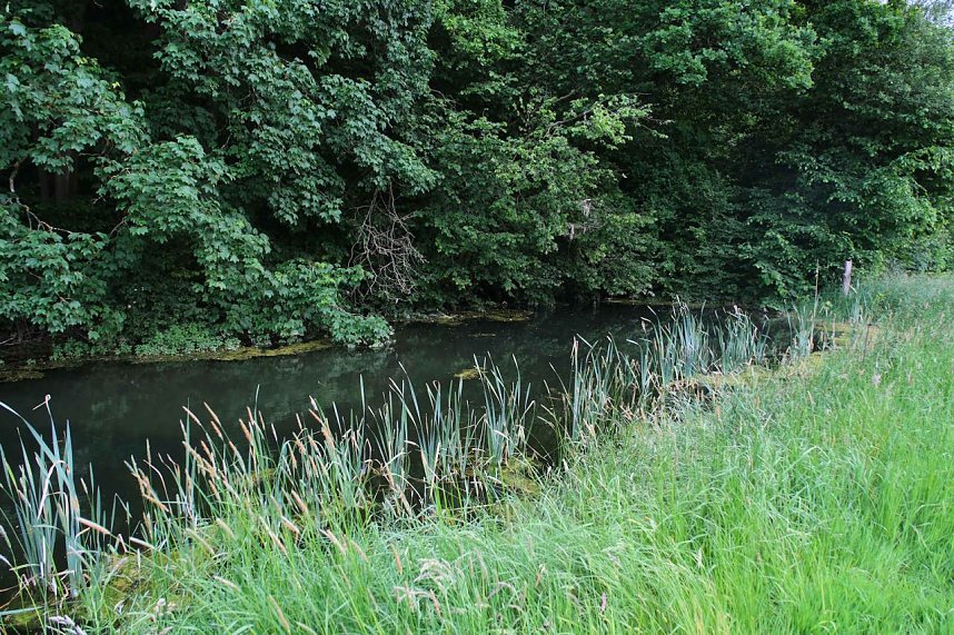 Peter Blei unterwegs in der Windl&uuml;cke