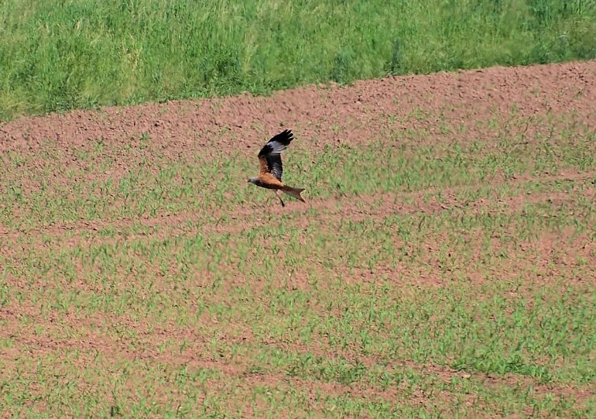 Peter Blei unterwegs in der Windl&uuml;cke
