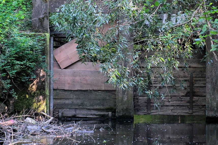 Peter Blei unterwegs an der Zorge