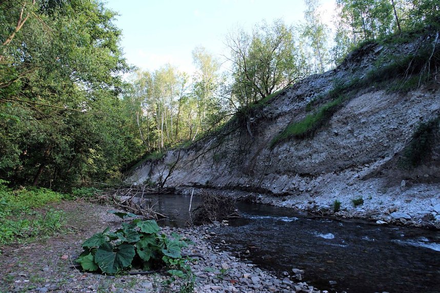 Peter Blei unterwegs an der Zorge