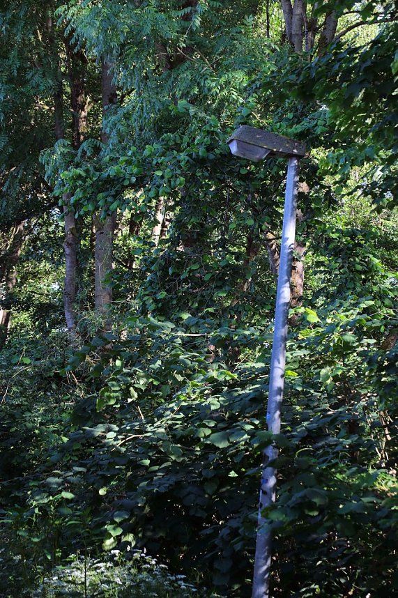 Peter Blei unterwegs an der Zorge