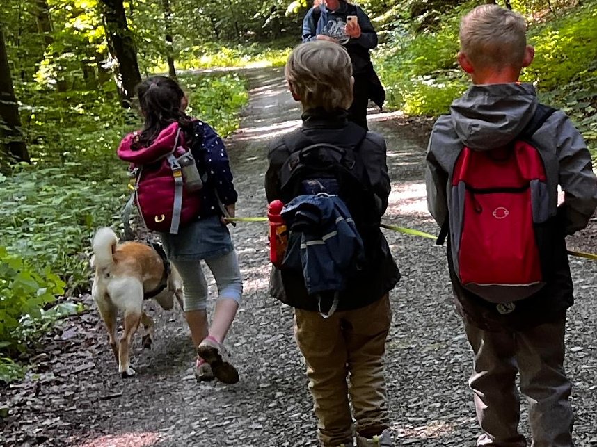 15 Gruppen sind auf Entdeckermission