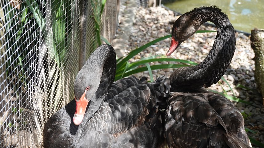 Offener Garten in Uthleben