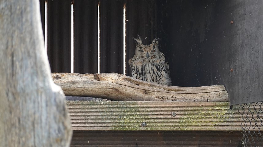 Offener Garten in Uthleben