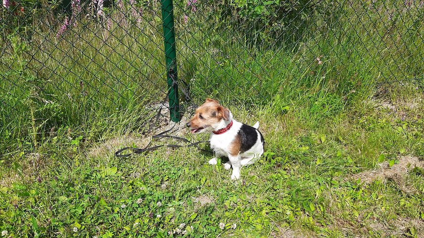 Unfall andere Talsperre Neustadt