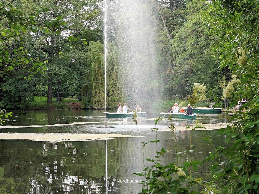 Impressionen im sommerlichen Stadtpark