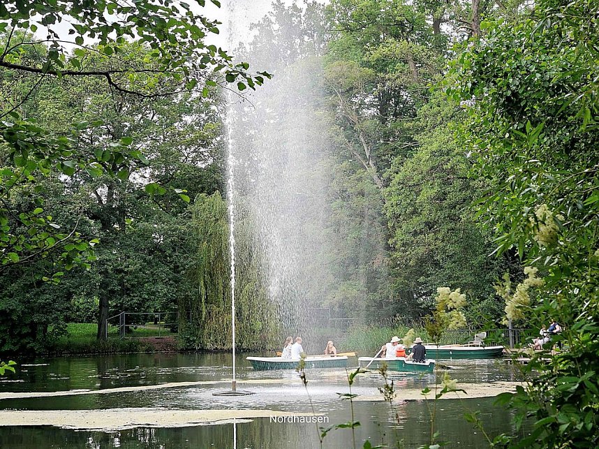 Impressionen im sommerlichen Stadtpark