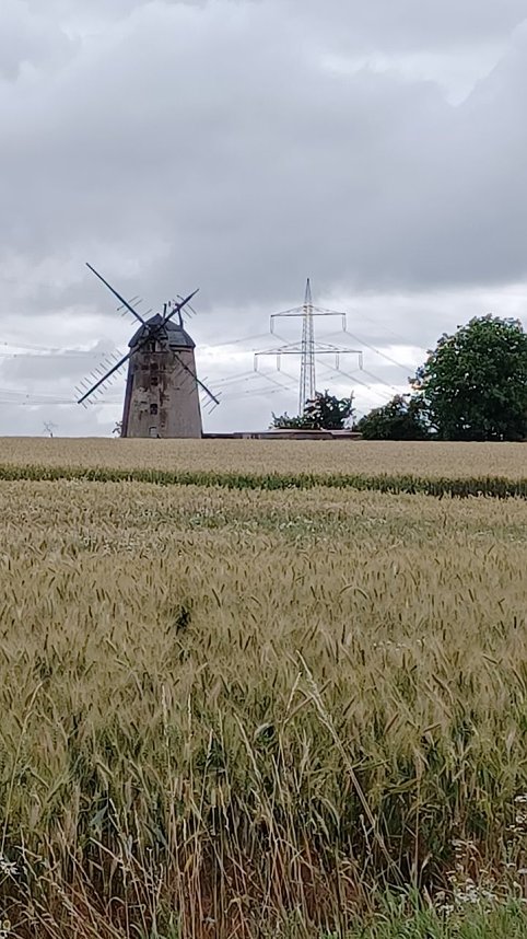 Impressionen vom Wegesrand