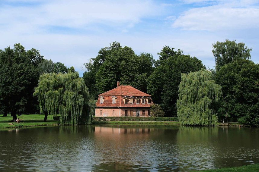 Peter Blei unterwegs auf Schwanensuche