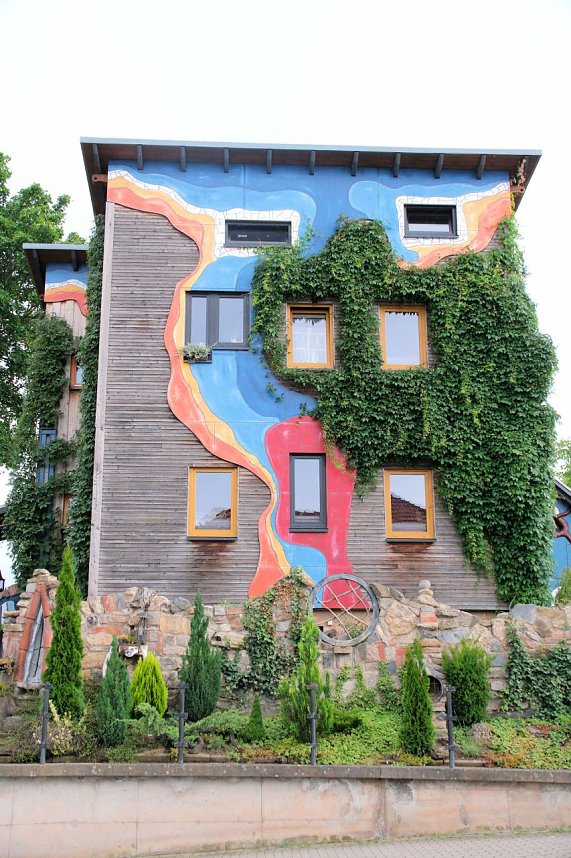 Peter Blei unterwegs auf Schwanensuche