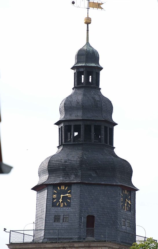 Peter Blei unterwegs auf Schwanensuche